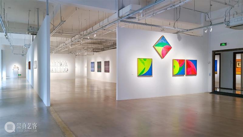 策展人专访 | 积聚与生成——2020上海当代艺术展 策展人 上海 艺术展 主题 内部 逻辑 关系 词组 中国 艺术 崇真艺客