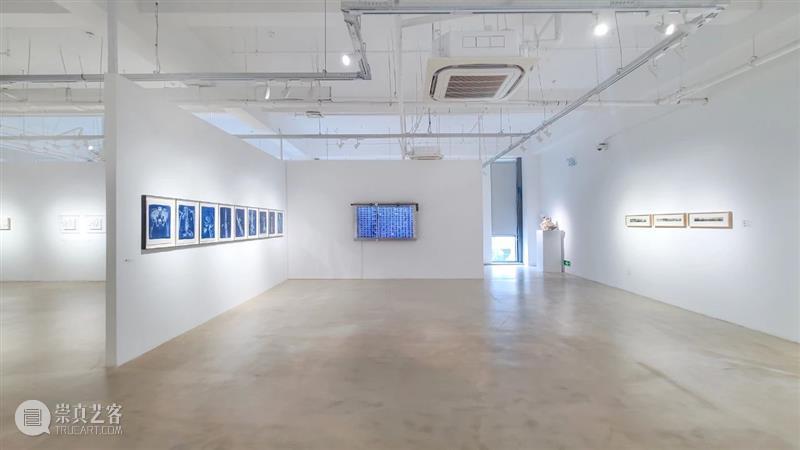 策展人专访 | 积聚与生成——2020上海当代艺术展 策展人 上海 艺术展 主题 内部 逻辑 关系 词组 中国 艺术 崇真艺客