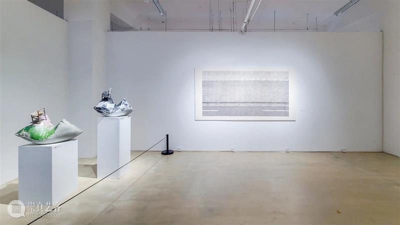 策展人专访 | 积聚与生成——2020上海当代艺术展 策展人 上海 艺术展 主题 内部 逻辑 关系 词组 中国 艺术 崇真艺客