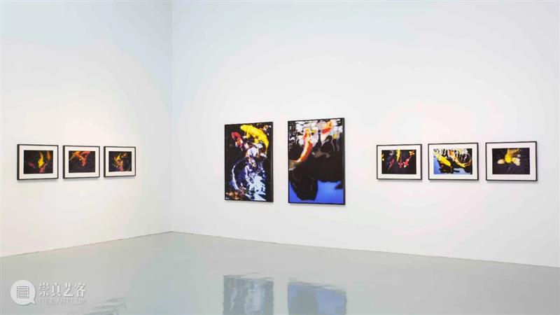 艾米李画廊 · 读画记 | 萧戈影像人物的叙述性 影像 萧戈 艾米 李画廊 人物 叙述性 锦鲤 奇境 幻景 空间 崇真艺客