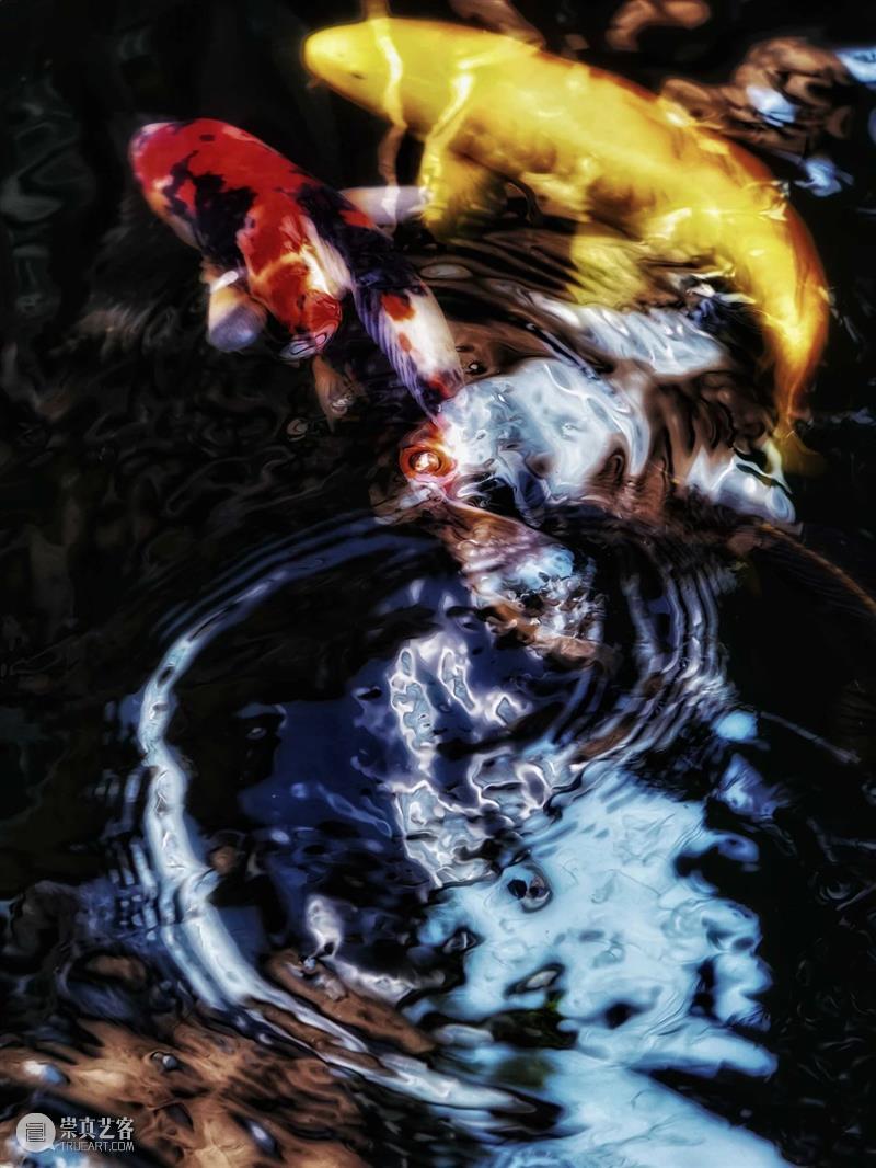 艾米李画廊 · 读画记 | 萧戈影像人物的叙述性 影像 萧戈 艾米 李画廊 人物 叙述性 锦鲤 奇境 幻景 空间 崇真艺客