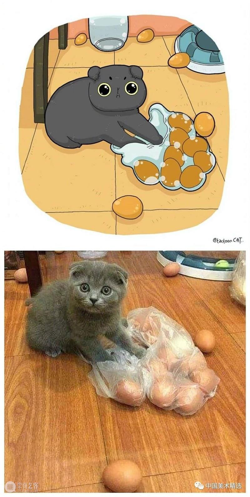 做一只有趣的猫咪 猫咪 插画师 ROCKYS 瞬间 原图 灵魂 画作 作品 往期 好文 崇真艺客