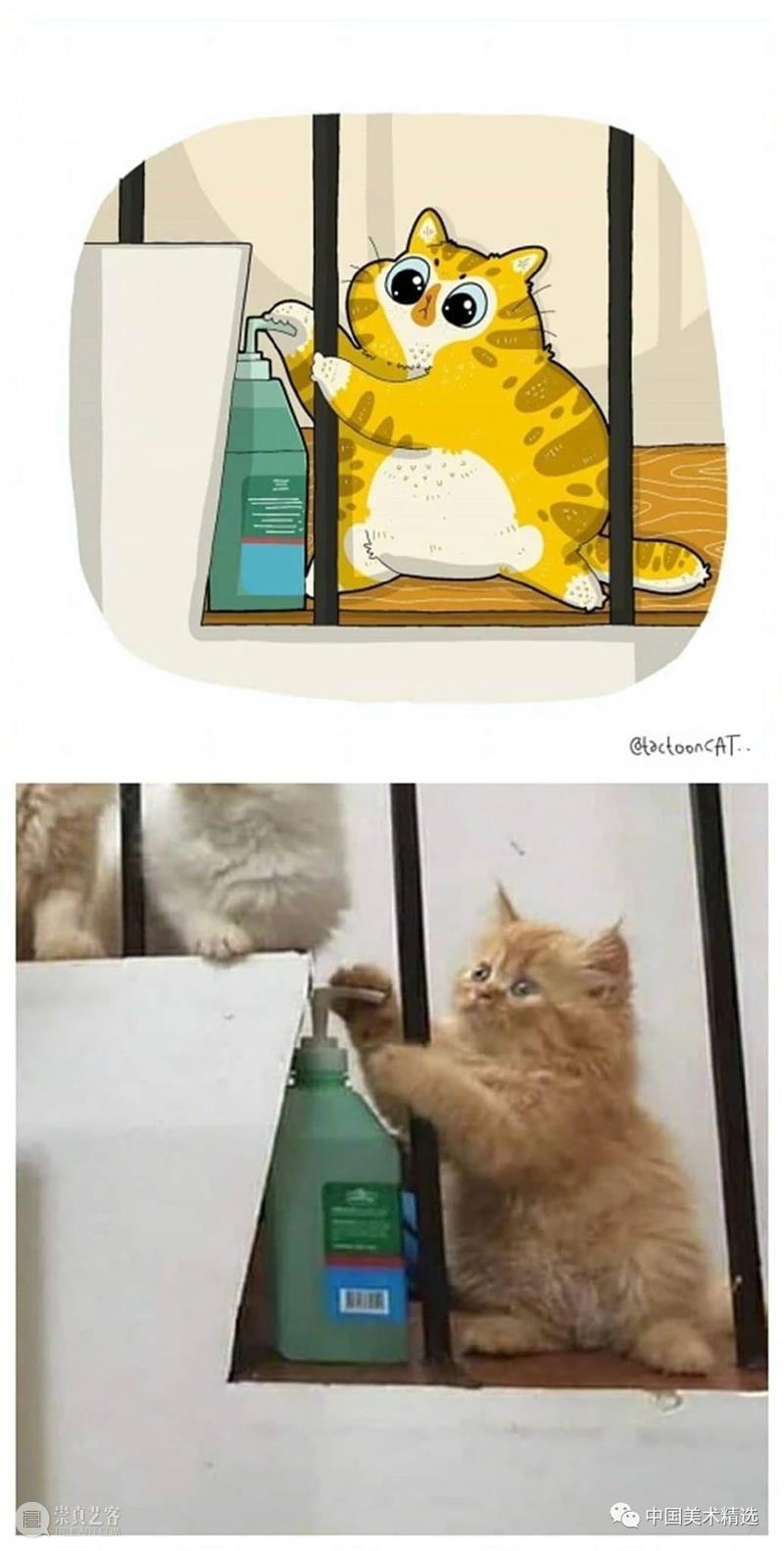 做一只有趣的猫咪 猫咪 插画师 ROCKYS 瞬间 原图 灵魂 画作 作品 往期 好文 崇真艺客
