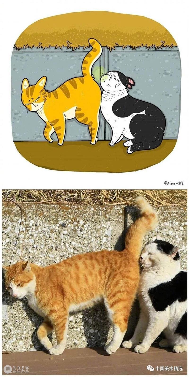 做一只有趣的猫咪 猫咪 插画师 ROCKYS 瞬间 原图 灵魂 画作 作品 往期 好文 崇真艺客