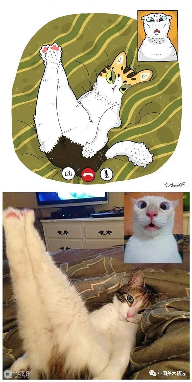 做一只有趣的猫咪 猫咪 插画师 ROCKYS 瞬间 原图 灵魂 画作 作品 往期 好文 崇真艺客