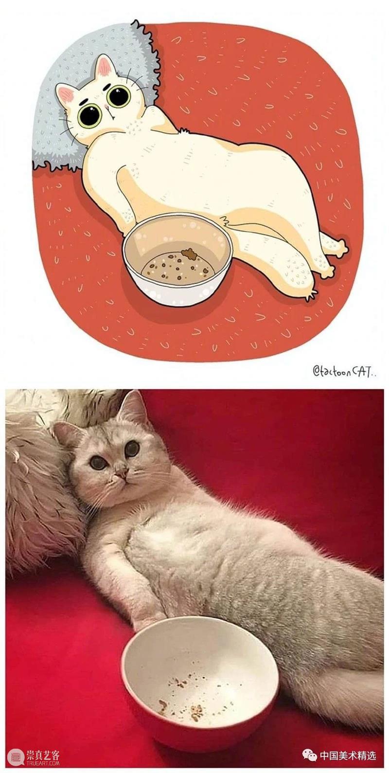 做一只有趣的猫咪 猫咪 插画师 ROCKYS 瞬间 原图 灵魂 画作 作品 往期 好文 崇真艺客