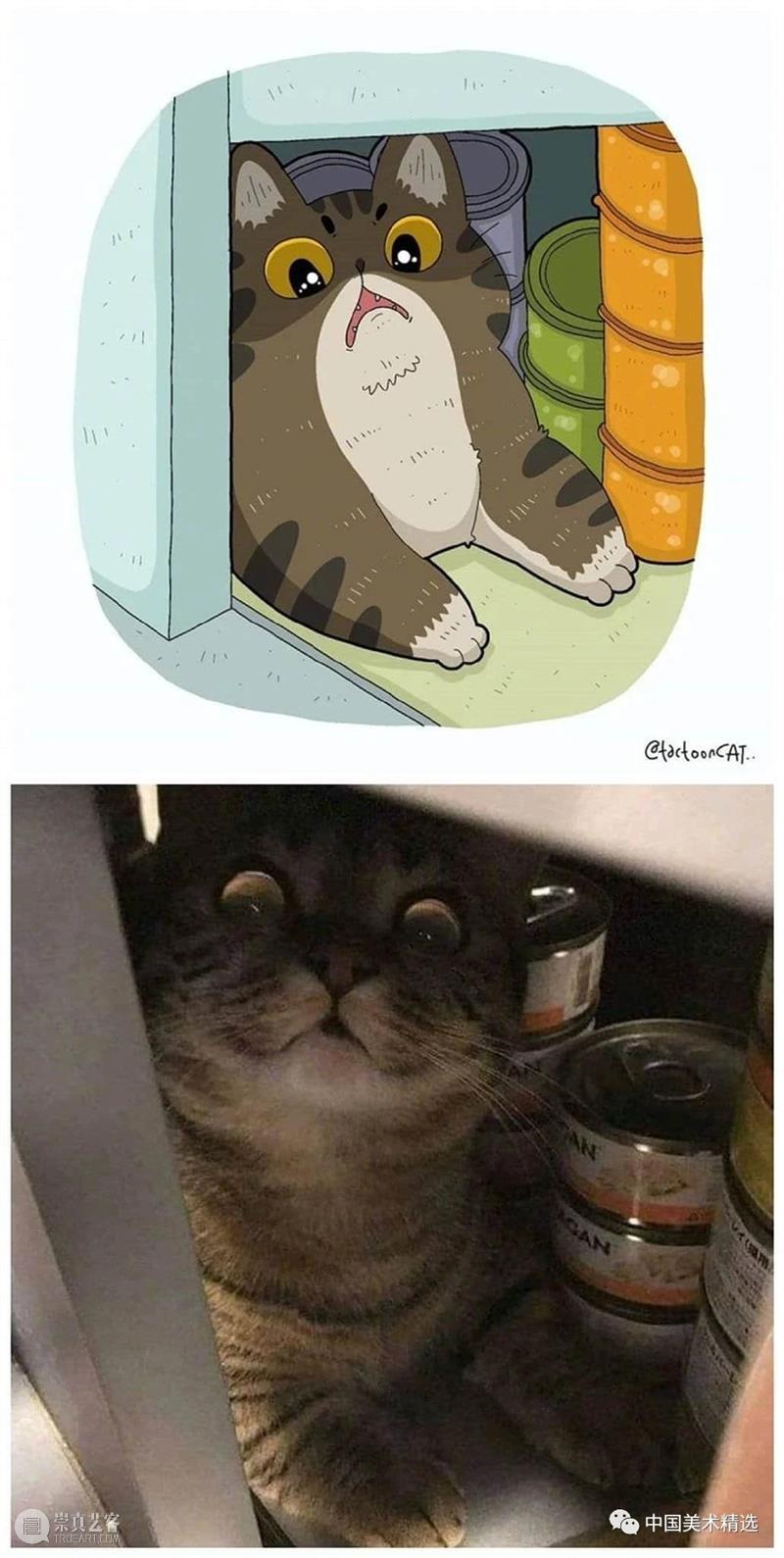 做一只有趣的猫咪 猫咪 插画师 ROCKYS 瞬间 原图 灵魂 画作 作品 往期 好文 崇真艺客