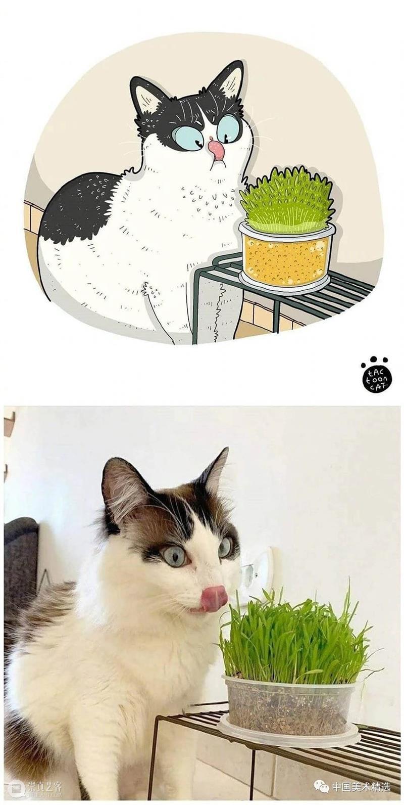 做一只有趣的猫咪 猫咪 插画师 ROCKYS 瞬间 原图 灵魂 画作 作品 往期 好文 崇真艺客