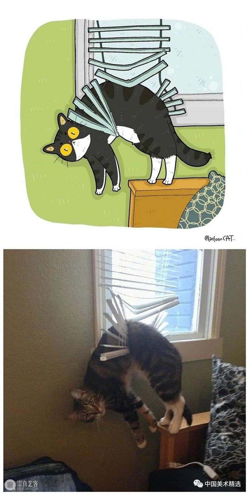 做一只有趣的猫咪 猫咪 插画师 ROCKYS 瞬间 原图 灵魂 画作 作品 往期 好文 崇真艺客