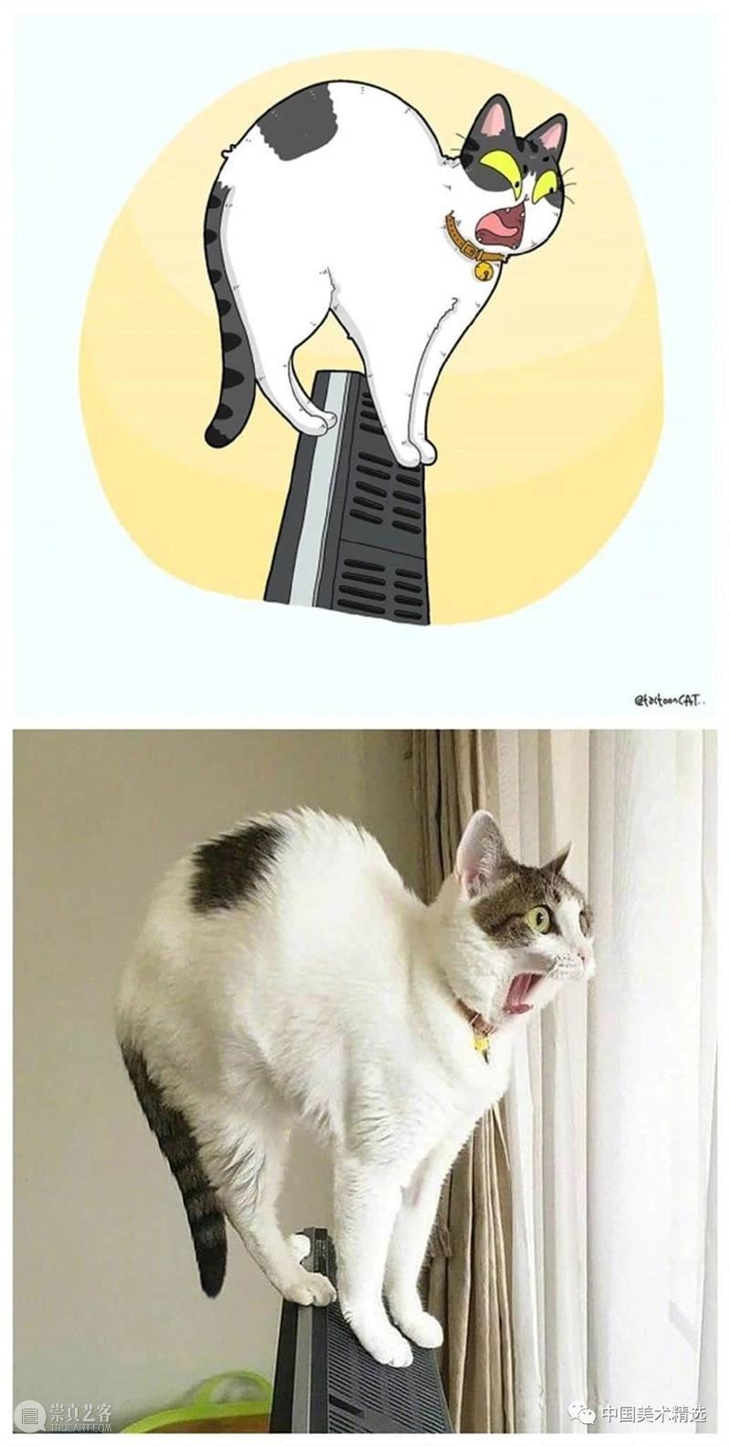 做一只有趣的猫咪 猫咪 插画师 ROCKYS 瞬间 原图 灵魂 画作 作品 往期 好文 崇真艺客