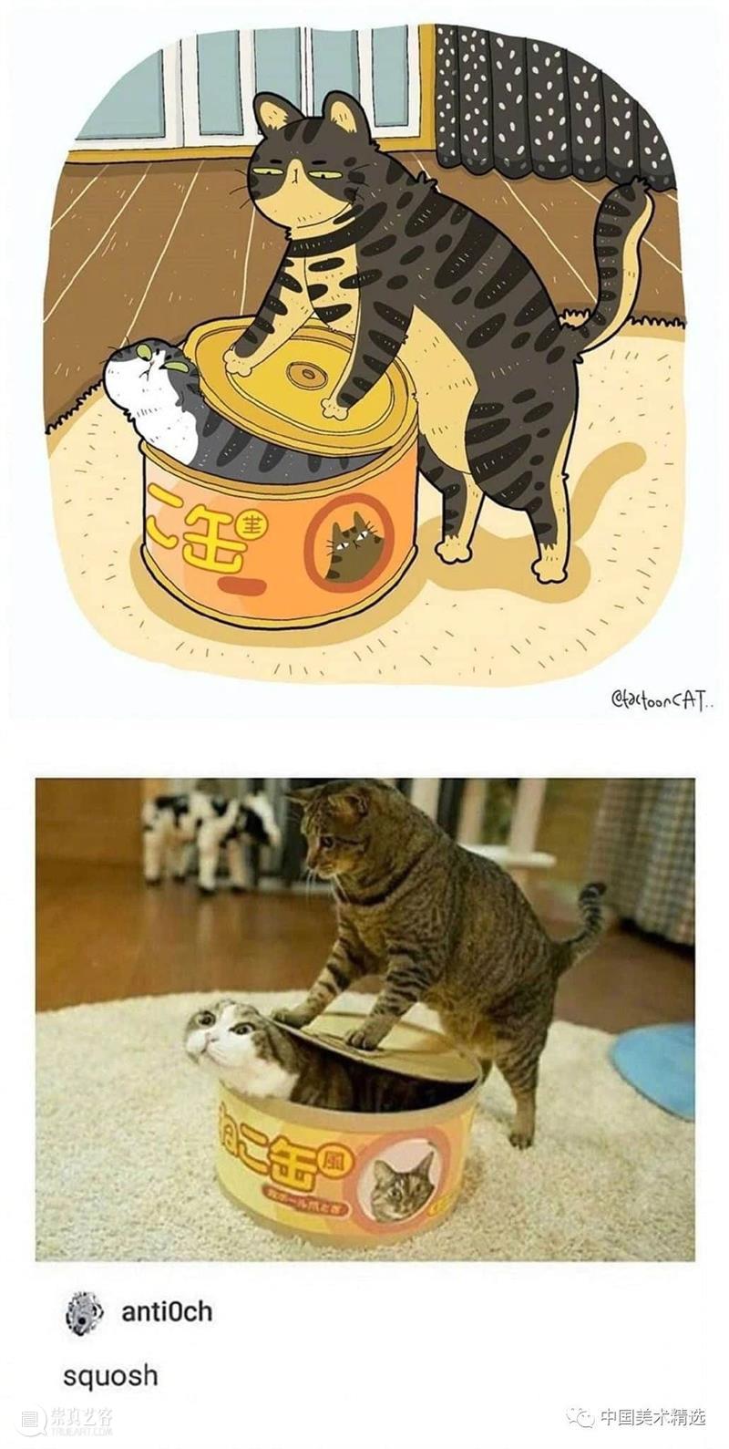 做一只有趣的猫咪 猫咪 插画师 ROCKYS 瞬间 原图 灵魂 画作 作品 往期 好文 崇真艺客