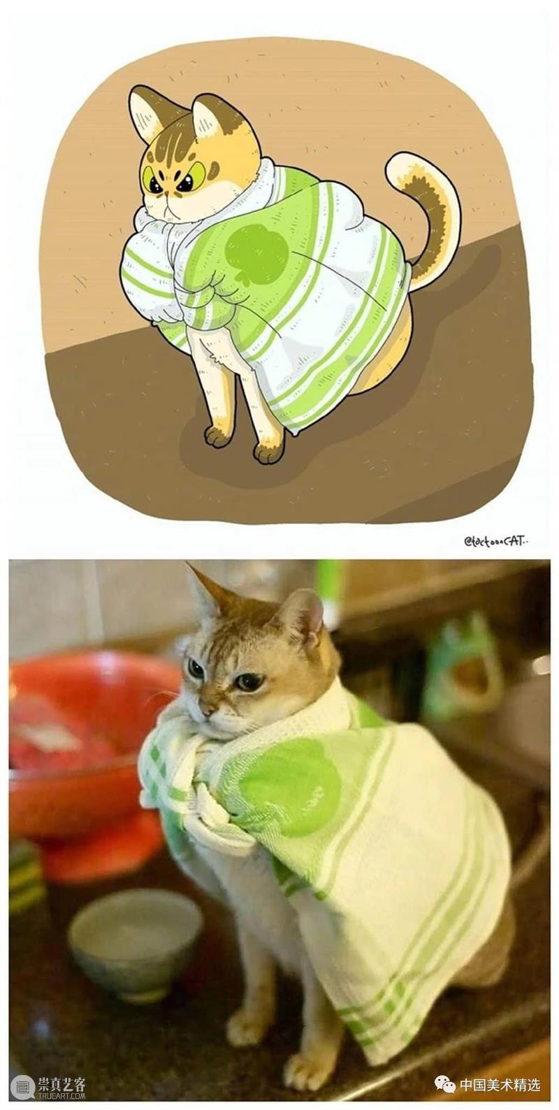 做一只有趣的猫咪 猫咪 插画师 ROCKYS 瞬间 原图 灵魂 画作 作品 往期 好文 崇真艺客