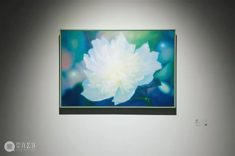 SUNWAY ART | 17位艺术家约期而会构建“聚元气”！ 元气 SUNWAY ART 艺术家 约期 现场 艺术 十竹斋 中心 展厅 崇真艺客