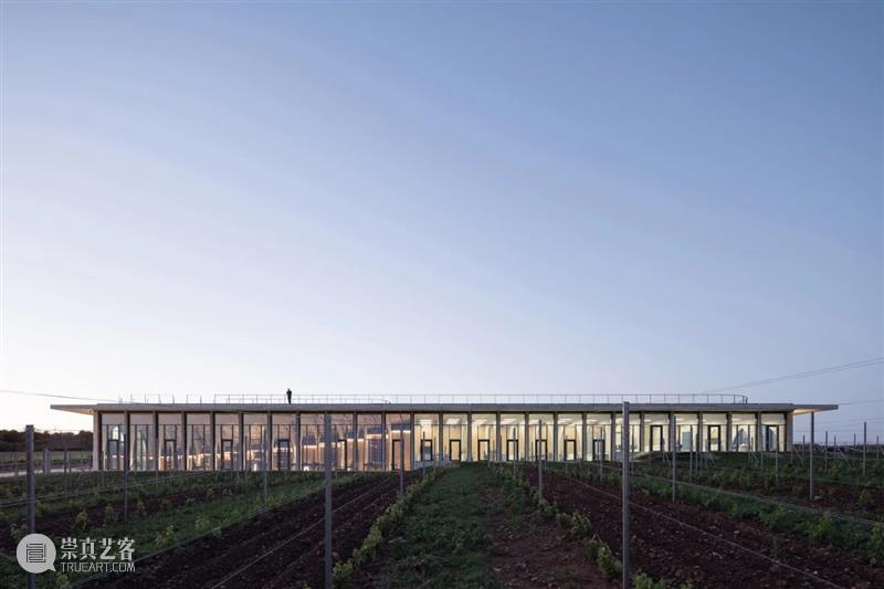 Lahofer酒庄，走上屋顶狂欢 / CHYBIK + KRISTOF Lahofer 酒庄 屋顶 项目 捷克东部 摩拉维亚 地区 文化 现代 关系 崇真艺客