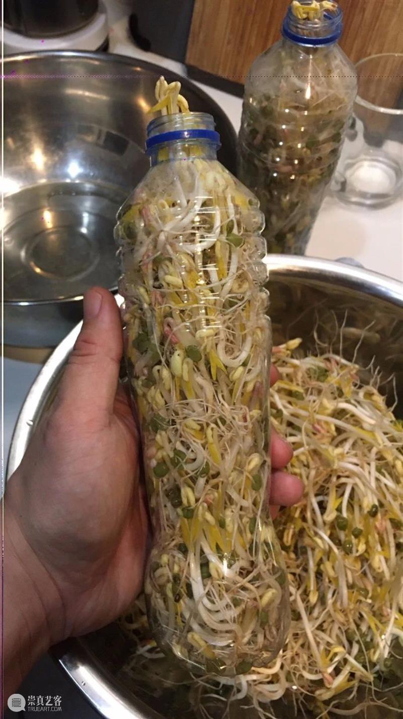 离线·景晓雷 | 这个问题很宏大！ 景晓雷 问题 离线 危机 艺术家 系列 中国 过去 晓雷 眼前 崇真艺客