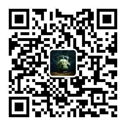 云展入口|“龙翔九天”亮点抢先看 龙翔 亮点 入口 云展 编者按 景德镇市 陶瓷 研究所 景德镇 御窑博物院 崇真艺客