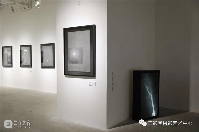 感应世界,独自叩门——罗书杭专访 | 无界展览 罗书杭 世界 无界 个展 观众 之后 作品 疑问 艺术家 策展人 崇真艺客