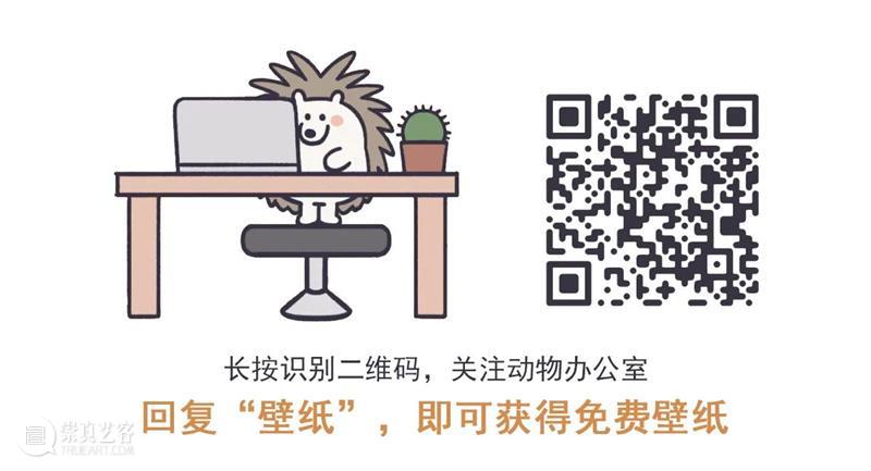 如果累了不想上班了，我强烈建议你看看这组小漫画！ 漫画 领导 人际 关系 动力 外卖 工资 上班族 动物办公室 之后 崇真艺客