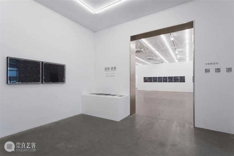 作品｜张帆《其势 其质》展览作品图文集完整版 作品 张帆 图文 完整版 艺术家 信息 空间 微信 GINKGOSTORE 资料 崇真艺客