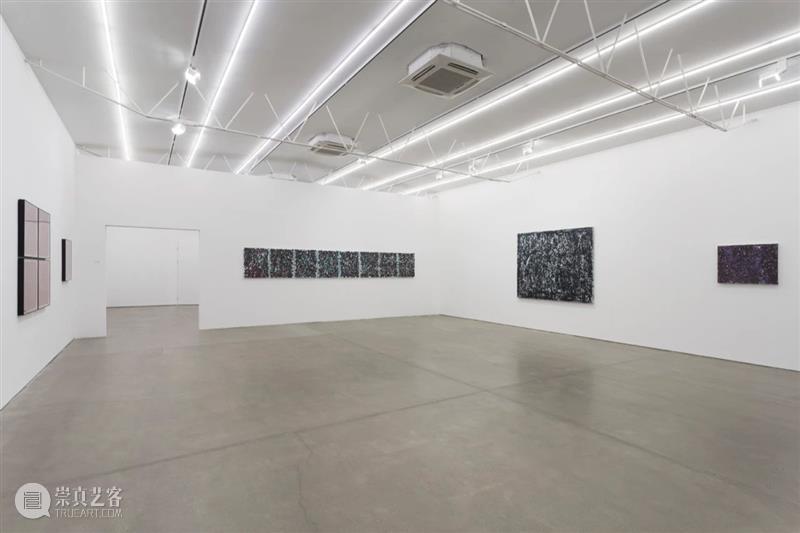 作品｜张帆《其势 其质》展览作品图文集完整版 作品 张帆 图文 完整版 艺术家 信息 空间 微信 GINKGOSTORE 资料 崇真艺客