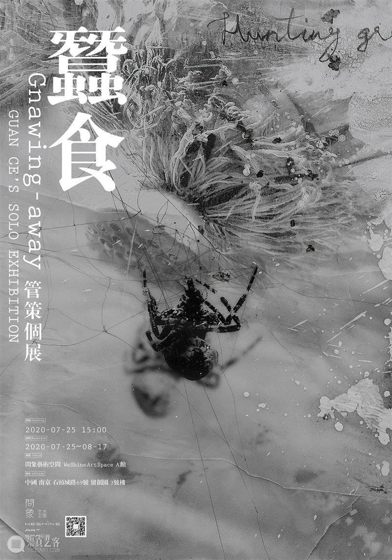 专题|人人皆有乘风破浪的可能 人人 可能 专题 以来 乘风破浪的姐姐 热度 节目 话题 半壁江山 06年 崇真艺客