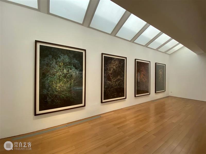 展览现场|“它山之石 - 封岩当代摄影展”苏州博物馆开幕 封岩 苏州博物馆 现场 摄影展 苏州博物馆现代艺术厅 个展 现代主义 展场 系列 ?石 崇真艺客