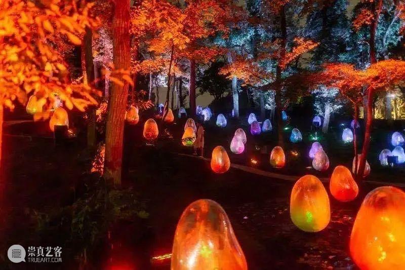 Teamlab ：橡子森林中的生命共鸣 橡子 森林中 生命 Teamlab teamLab 数字 艺术 崎玉县 所泽公园 项目 崇真艺客