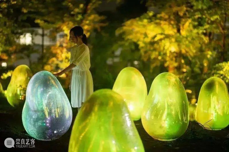 Teamlab ：橡子森林中的生命共鸣 橡子 森林中 生命 Teamlab teamLab 数字 艺术 崎玉县 所泽公园 项目 崇真艺客