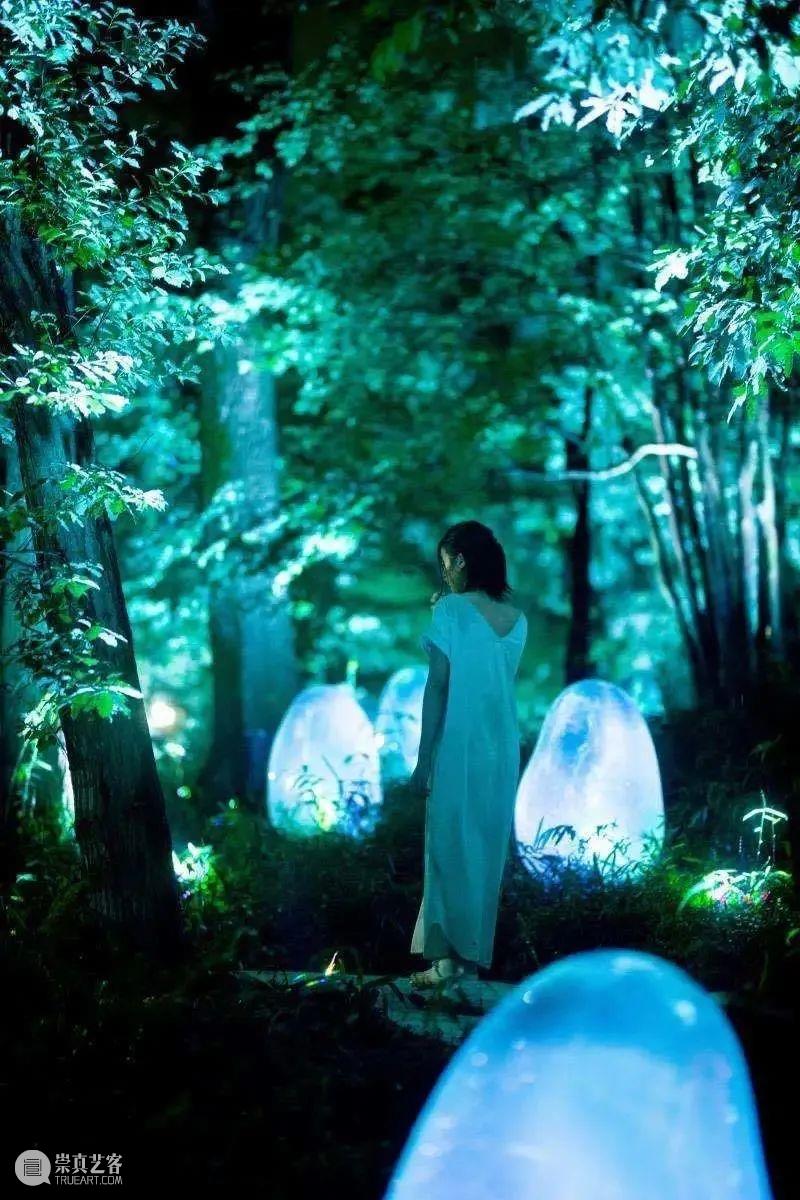 Teamlab ：橡子森林中的生命共鸣 橡子 森林中 生命 Teamlab teamLab 数字 艺术 崎玉县 所泽公园 项目 崇真艺客