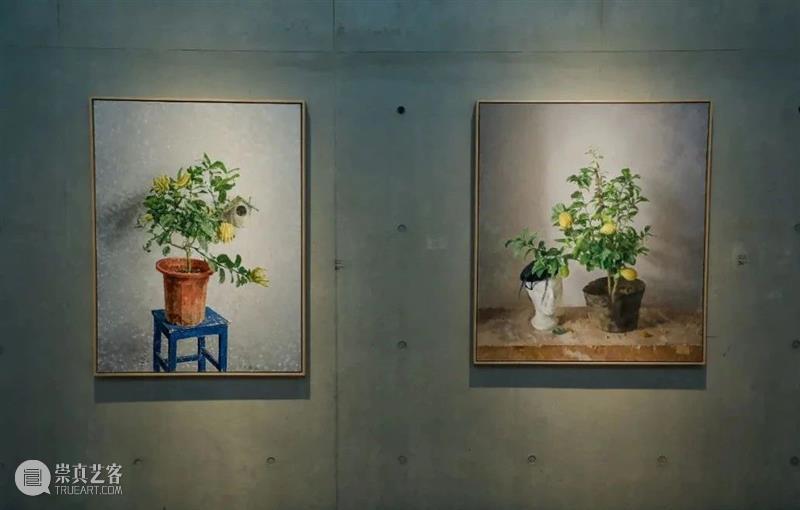 开幕现场 | 金文丽＆马君双个展 马君 现场 金文丽＆ 双个展 好奇柜 金文丽 展期 时间 电话 地址 崇真艺客