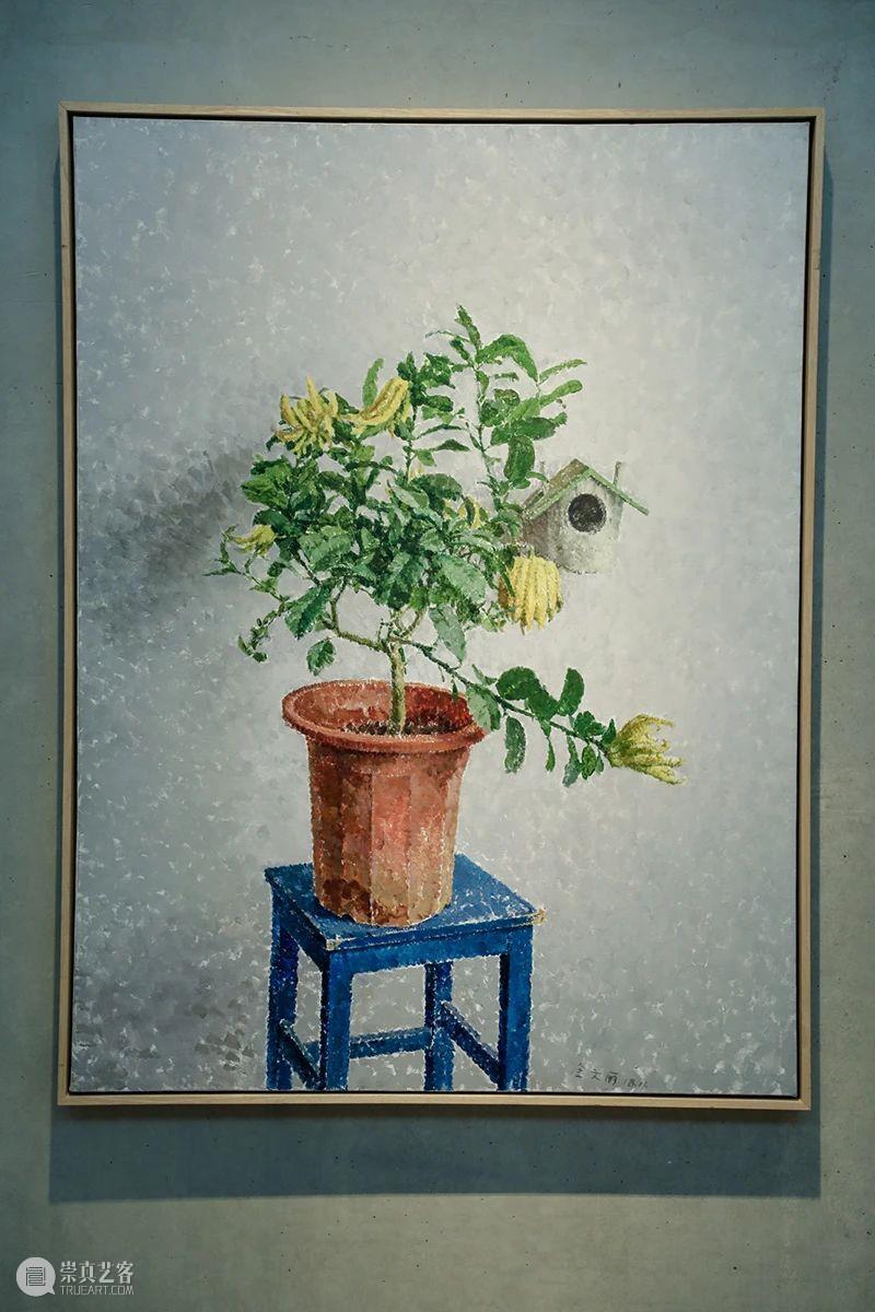 开幕现场 | 金文丽＆马君双个展 马君 现场 金文丽＆ 双个展 好奇柜 金文丽 展期 时间 电话 地址 崇真艺客