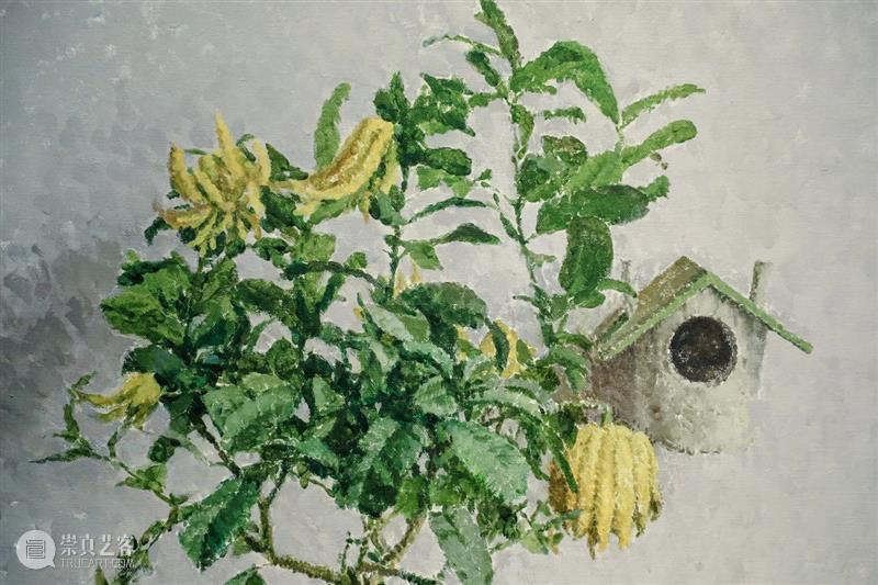 开幕现场 | 金文丽＆马君双个展 马君 现场 金文丽＆ 双个展 好奇柜 金文丽 展期 时间 电话 地址 崇真艺客