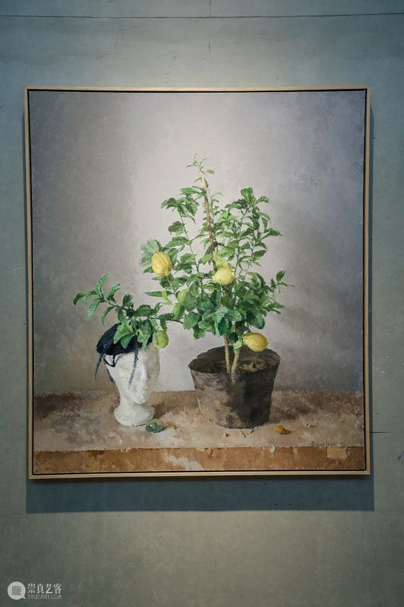 开幕现场 | 金文丽＆马君双个展 马君 现场 金文丽＆ 双个展 好奇柜 金文丽 展期 时间 电话 地址 崇真艺客