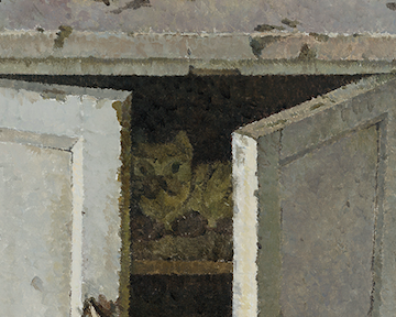 开幕现场 | 金文丽＆马君双个展 马君 现场 金文丽＆ 双个展 好奇柜 金文丽 展期 时间 电话 地址 崇真艺客