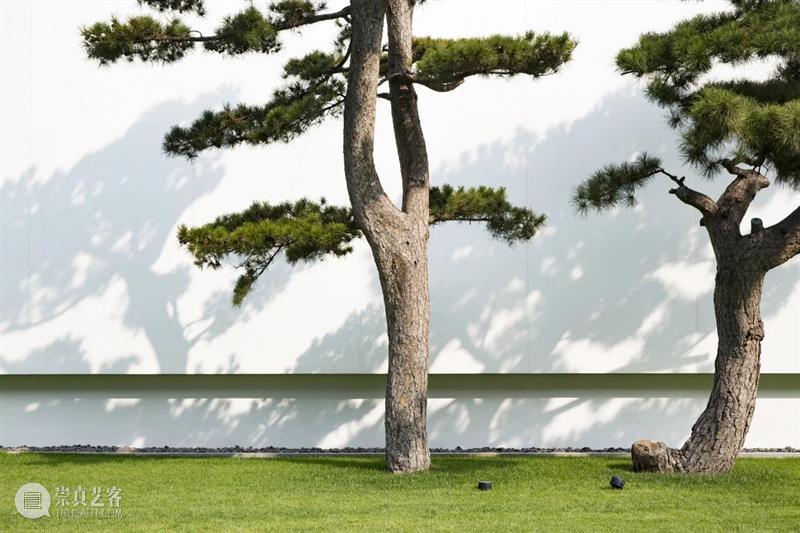 「松」展览 | 都市、枝叶与女性 都市 枝叶 女性 夏日大 进程 画廊 艺术家 展期 作品 星空间 崇真艺客