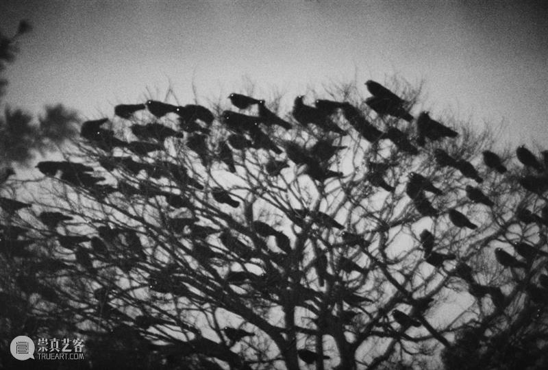 【转载】林叶丨摄影、时代与个体存在：回望日本“写真黄金一代” 写真 日本 时代 黄金一代 个体 林叶丨 林叶 三影堂摄影艺术中心 黄金 一代 崇真艺客