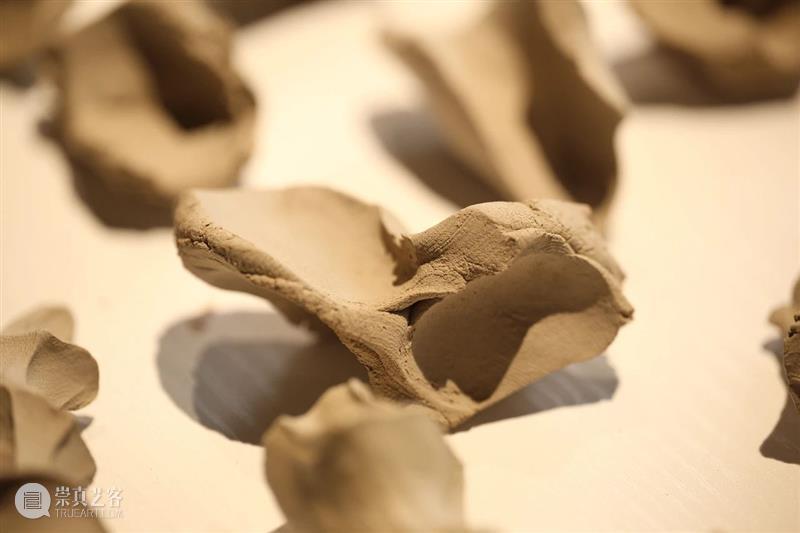 隋建国、刘建华参与三地群展 正在进行中 隋建国 刘建华 三地群展 方法 艺术家 时间 空间 身体 北京中关村壹号壹美美术馆 盛葳 崇真艺客