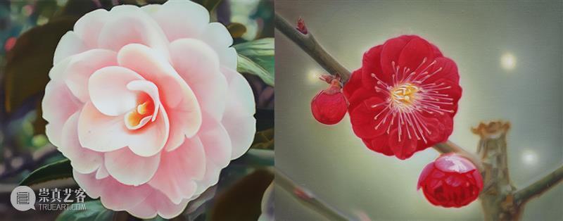 “以花之名”展览重磅揭幕 | 一花一世界 重磅 一花一世界 Flower 上海明珠美术馆 Shanghai明珠美术馆 公众 明珠美术馆 世界 各地 艺术家 崇真艺客