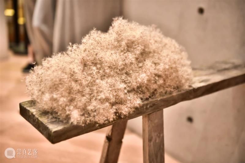 “以花之名”展览重磅揭幕 | 一花一世界 重磅 一花一世界 Flower 上海明珠美术馆 Shanghai明珠美术馆 公众 明珠美术馆 世界 各地 艺术家 崇真艺客