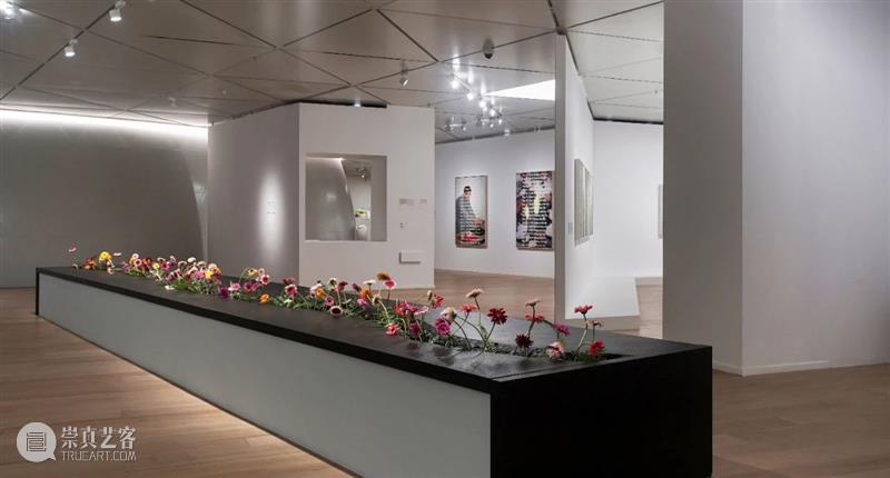 “以花之名”展览重磅揭幕 | 一花一世界 重磅 一花一世界 Flower 上海明珠美术馆 Shanghai明珠美术馆 公众 明珠美术馆 世界 各地 艺术家 崇真艺客