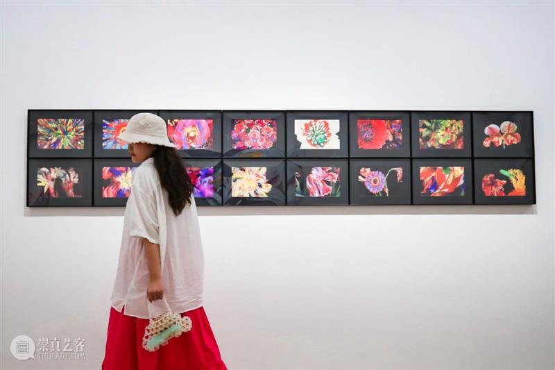 “以花之名”展览重磅揭幕 | 一花一世界 重磅 一花一世界 Flower 上海明珠美术馆 Shanghai明珠美术馆 公众 明珠美术馆 世界 各地 艺术家 崇真艺客