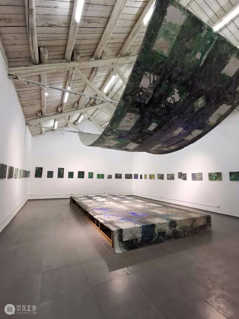 那些消失的和正在消失的 | 展览后记 后记 附近 艺术 生态 邻居 前言 方糖 罗马湖 艺术家 居民区 崇真艺客