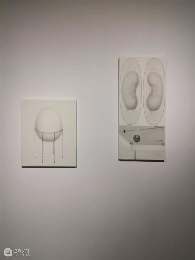那些消失的和正在消失的 | 展览后记 后记 附近 艺术 生态 邻居 前言 方糖 罗马湖 艺术家 居民区 崇真艺客