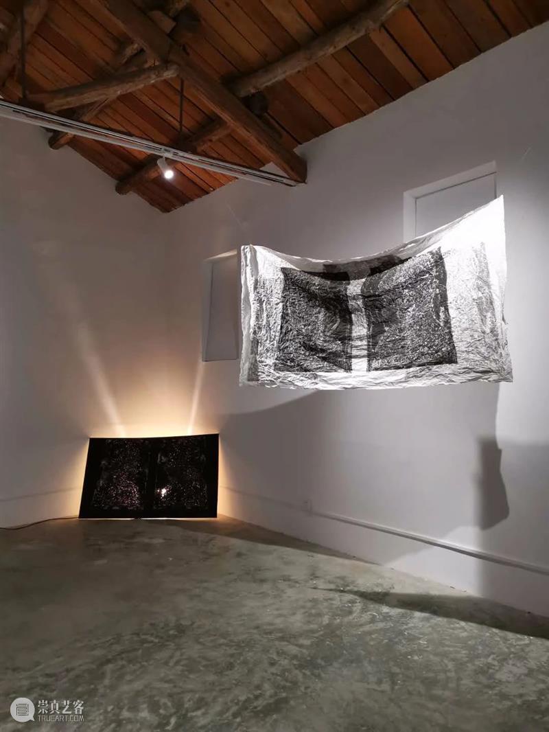 那些消失的和正在消失的 | 展览后记 后记 附近 艺术 生态 邻居 前言 方糖 罗马湖 艺术家 居民区 崇真艺客