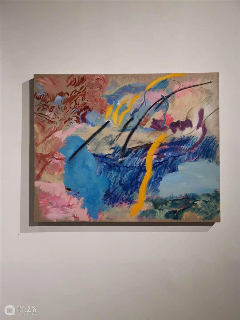 那些消失的和正在消失的 | 展览后记 后记 附近 艺术 生态 邻居 前言 方糖 罗马湖 艺术家 居民区 崇真艺客