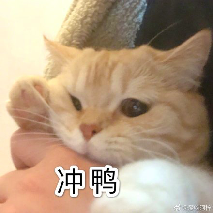 花木兰确认内地影院上映；《寻梦环游记》团队新片内地定档 花木兰 内地 影院 新片 寻梦环游记 团队 影视 好剧 小豆 迪士尼 崇真艺客