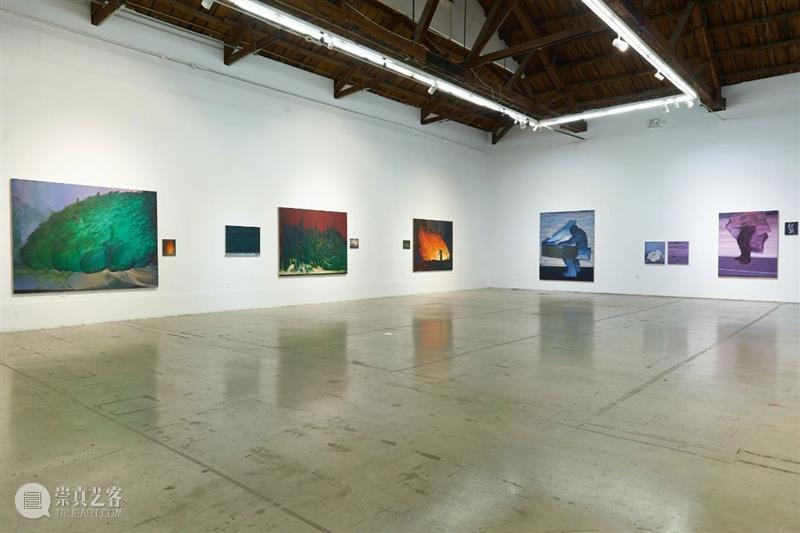 幕帘——《飞慢》张博夫个展 张博夫 个展 幕帘 飞慢 林妍 火焰 人类 世界 概念 生命力 崇真艺客