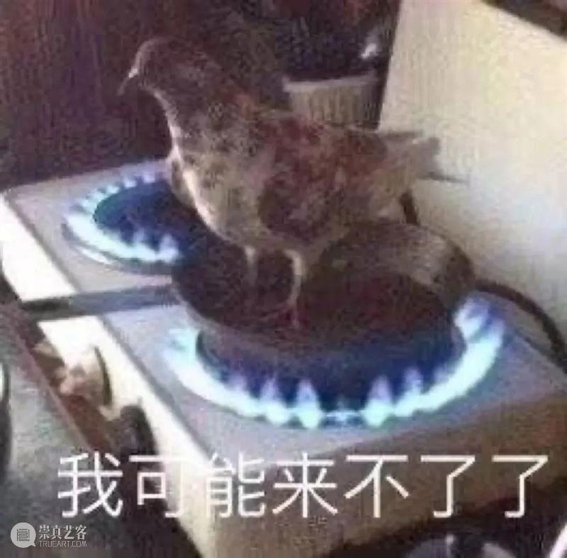 这次来广东，它俩瑟瑟发抖 视频资讯 广州大剧院 广东 动物 社会性 年龄 压力 广州 鸽子 ssfd 而今 社交 崇真艺客
