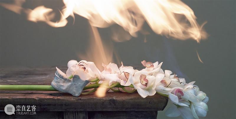 上海明珠美术馆丨“以花为名”的诗意盛放 热点聚焦  上海明珠美术馆 以花之名 崇真艺客