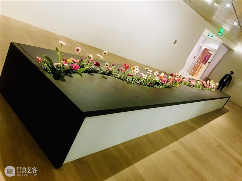上海明珠美术馆丨“以花为名”的诗意盛放 热点聚焦  上海明珠美术馆 以花之名 崇真艺客